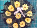 IMAG0895