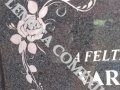 IMAG0594
