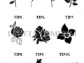 Tip Floare gravat 1 - 10